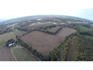 Property photo 11 - Southern Michigan Land Auction - 2 Auctions in 1 - 229+/- Acres and 66+/- Acres